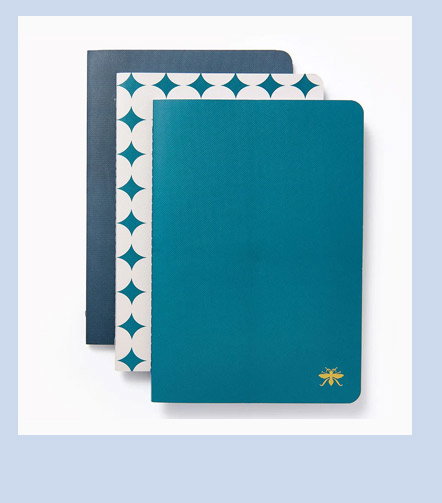 Teal Paper Wasp S/3 Notebooks