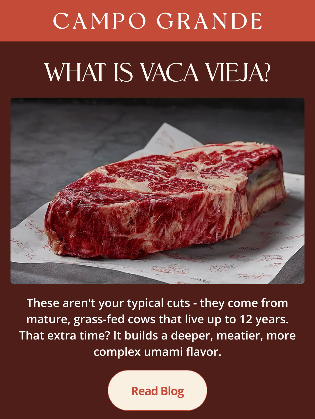 What is Vaca Vieja?