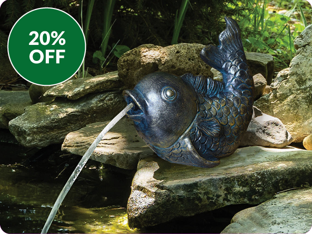 20% off