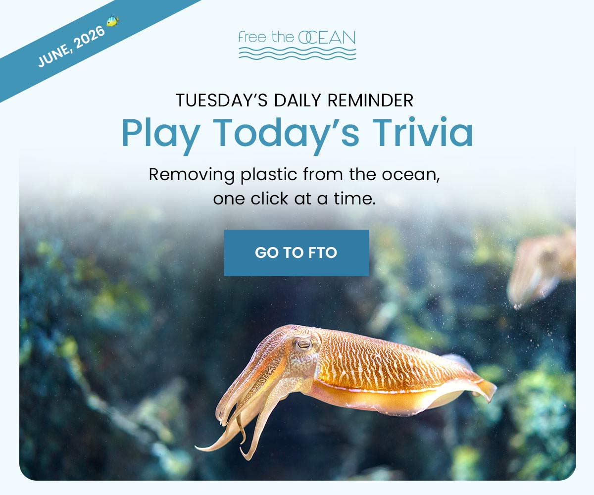 Tuesday's Daily Reminder - Play Today's Trivia - Removing plastic from the ocean one click at a time