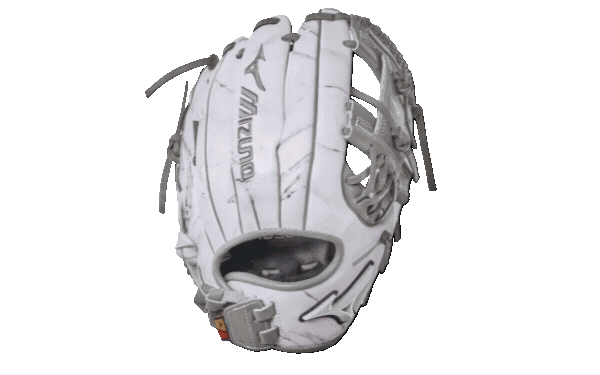PRO SELECT BALL GLOVES