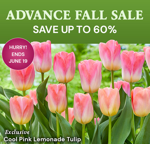 CM Fall Catalog Save up to 60% 