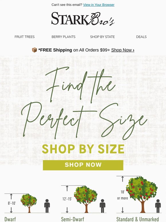 🏡 Do You Know Which Size Fruit Tree You Need?