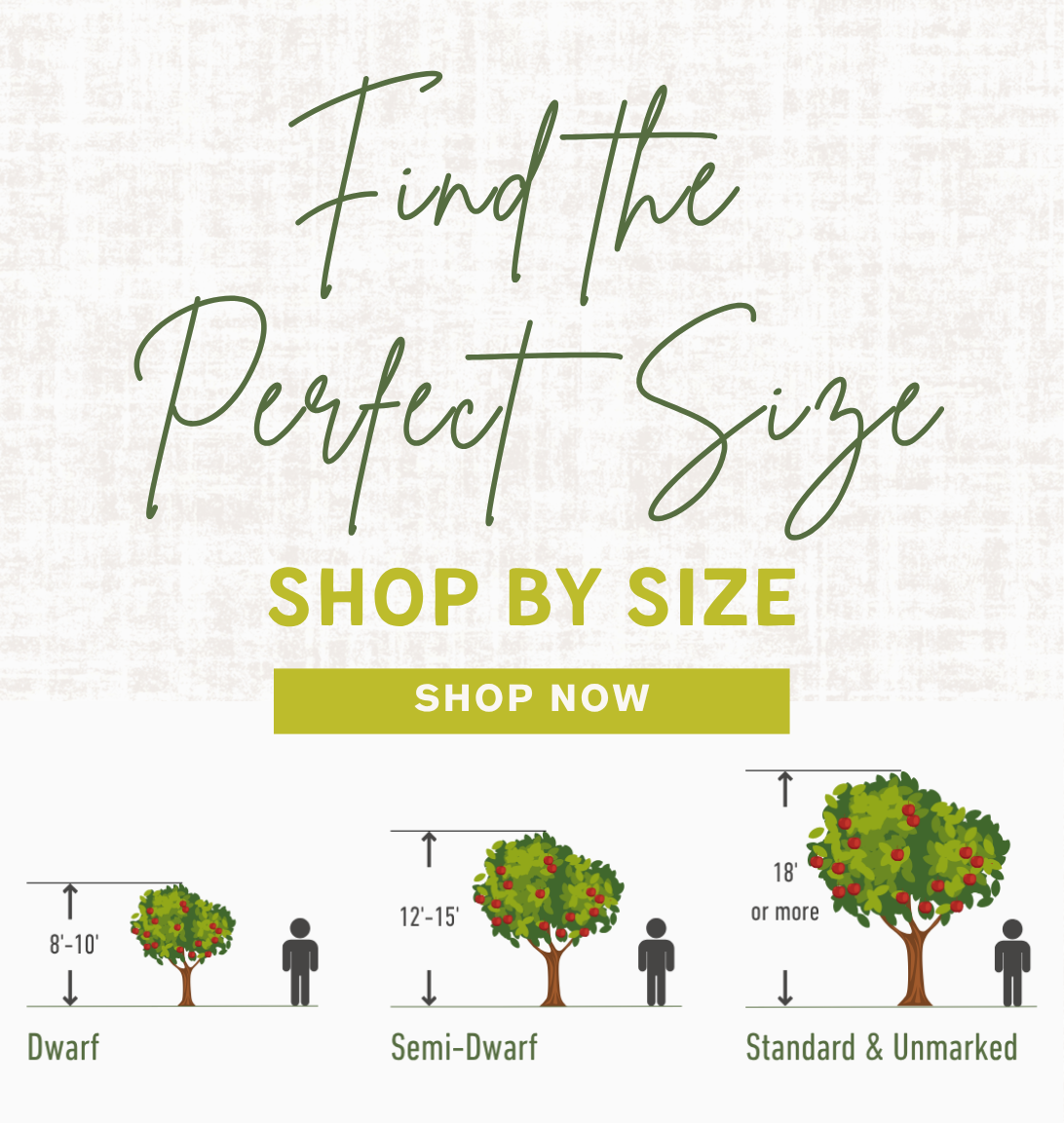 Shop Fruit Trees