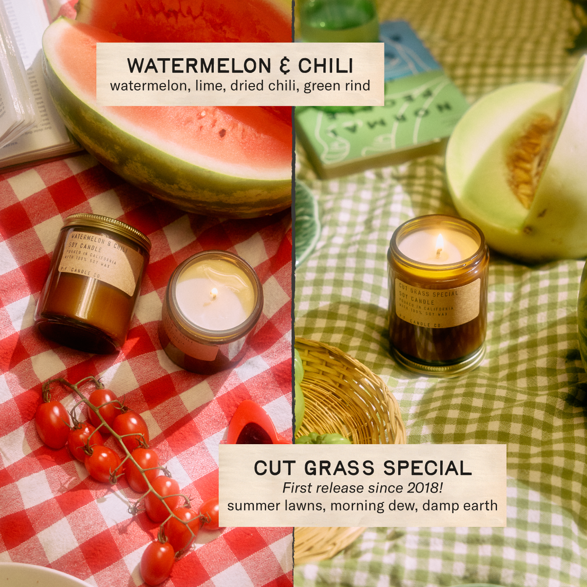 Watermelon & Chili watermelon, lime, dried chili, green rind. Cut Grass Special First release since 2018! summer lawns, morning dew, damp earth. [candles displayed on red and green picnic blankets near various fruit and books] 