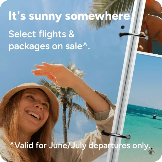 Person outside surrounded by palm trees and under the sun