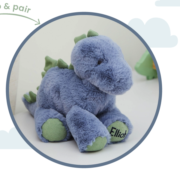 Personalised Blue and Green Dinosaur Soft Toy