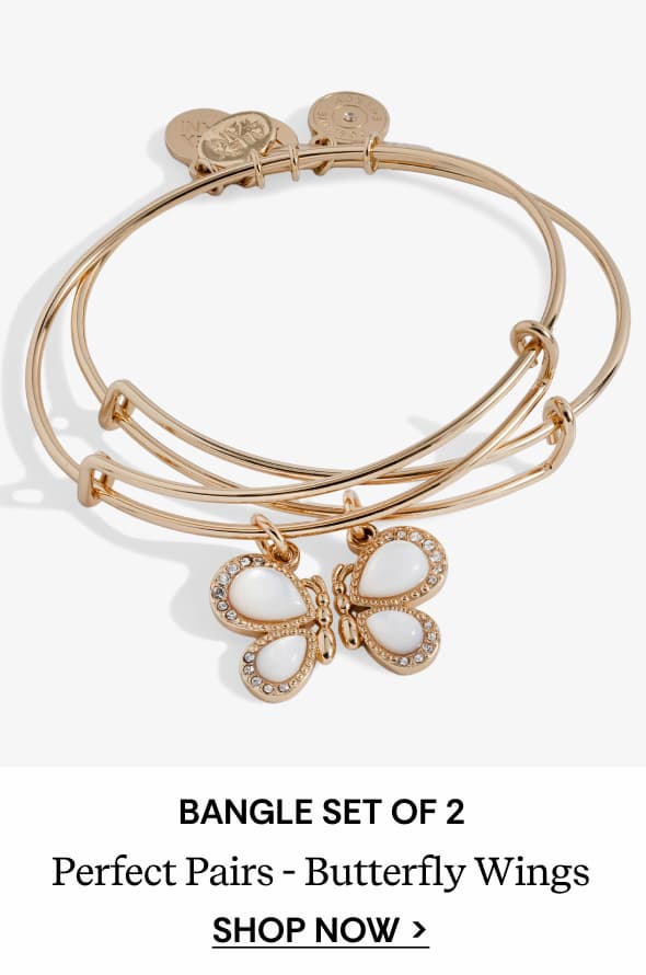 Perfect Pairs- Butterfly Wings Bangle Set of 2