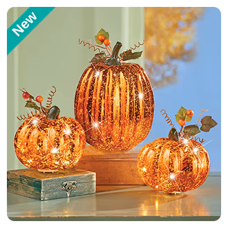 Lighted Pumpkins, Set of 3