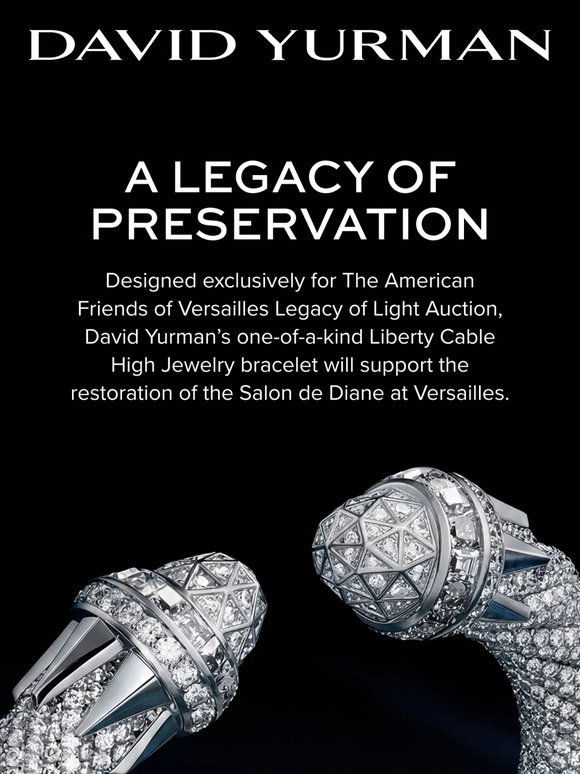 Our Enduring Commitment to Artistic Preservation