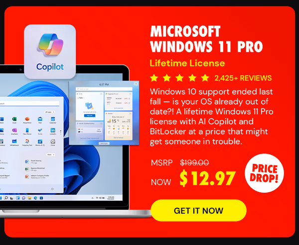 Microsoft Windows 11 Pro