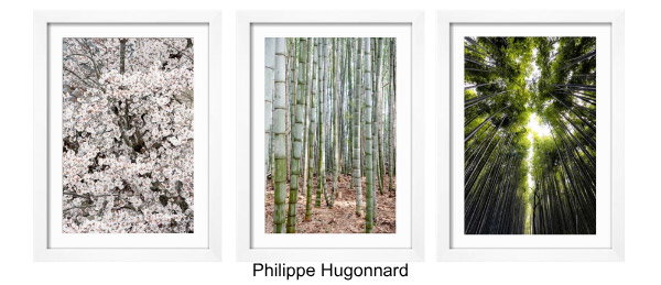 Shop the Philippe Hugonnard Collection