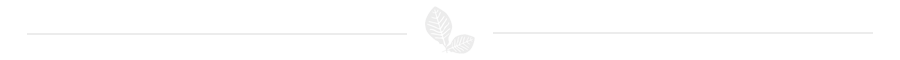 divider