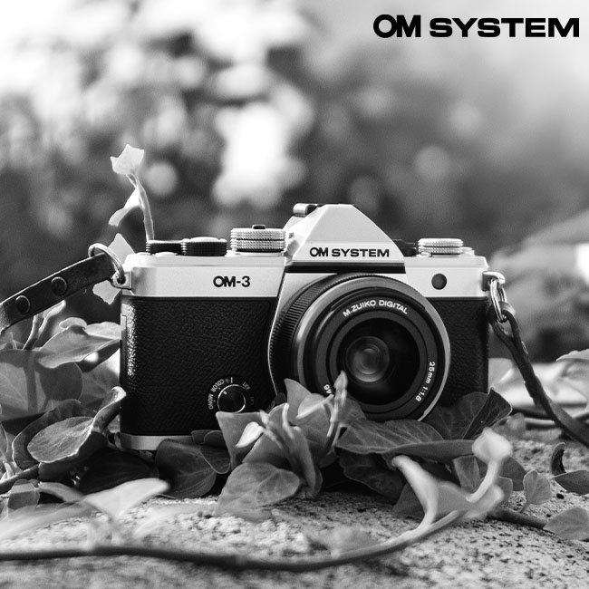 OM System
