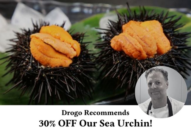 sea urchin roe