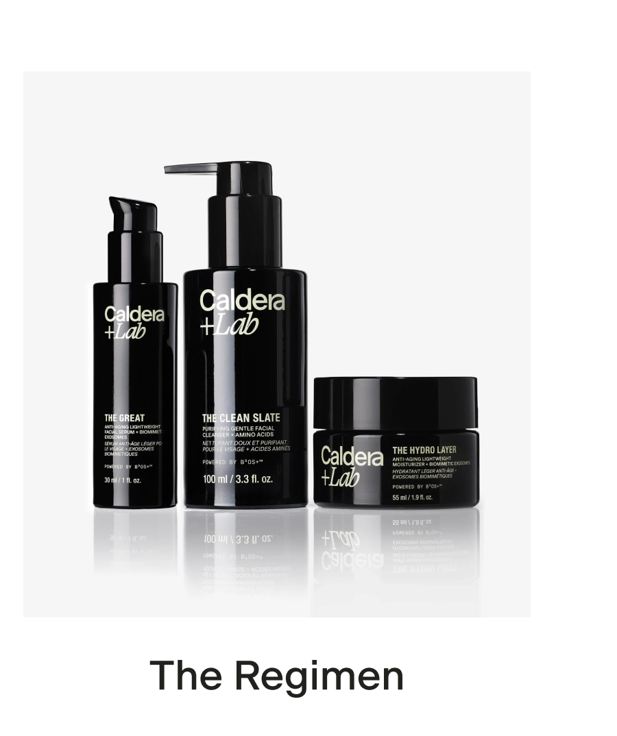 THE REGIMEN