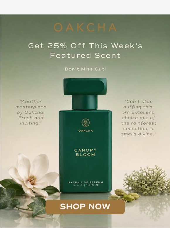Rainforest Freshness, Now 25% Off with Canopy Bloom