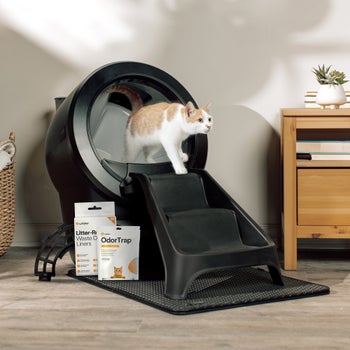 Litter-Robot 4 Self-Cleaning Cat Litter Box, LitterHopper Bundle