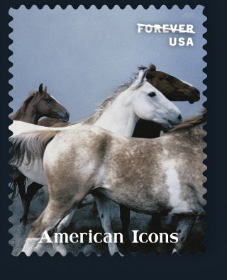 American Icons
