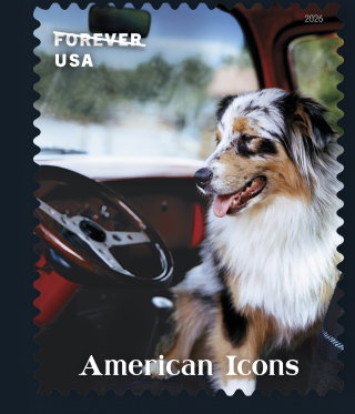 American Icons