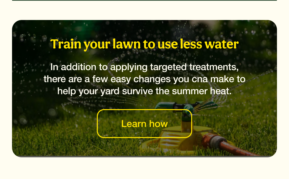Train your lawn to use less water | Learn how