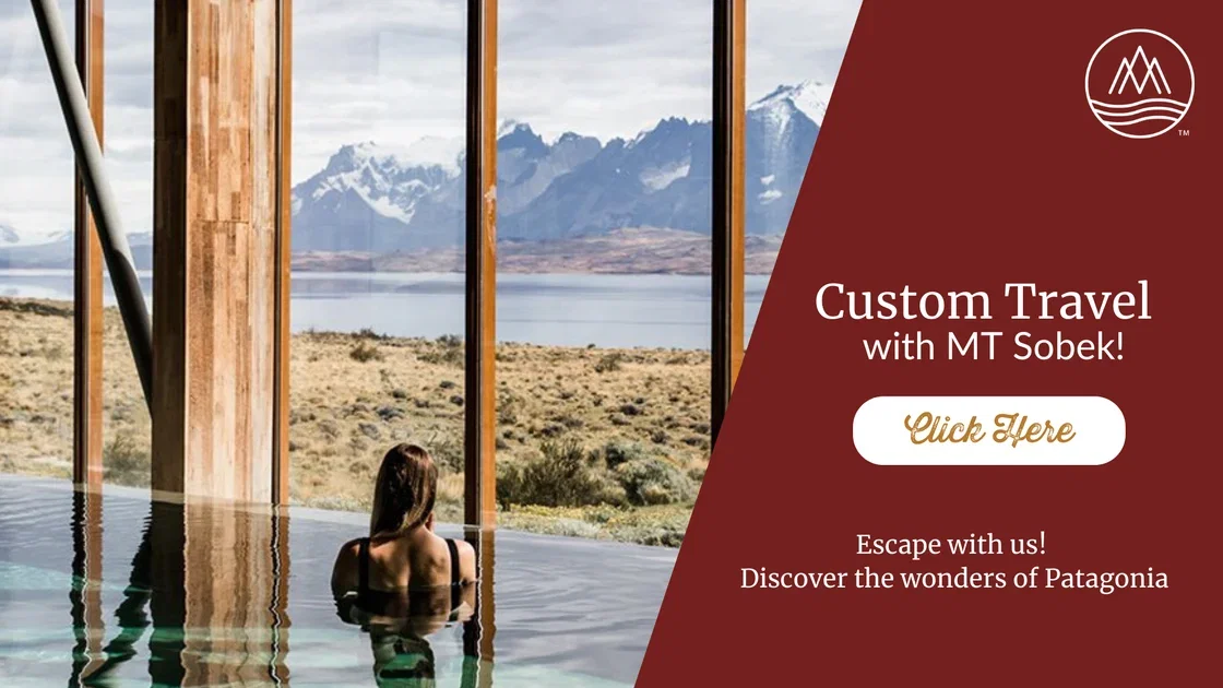 Patagonia-Email-Custom-Travel-Button