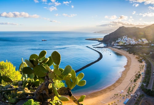 🇪🇸 Tenerife, Canary Islands
