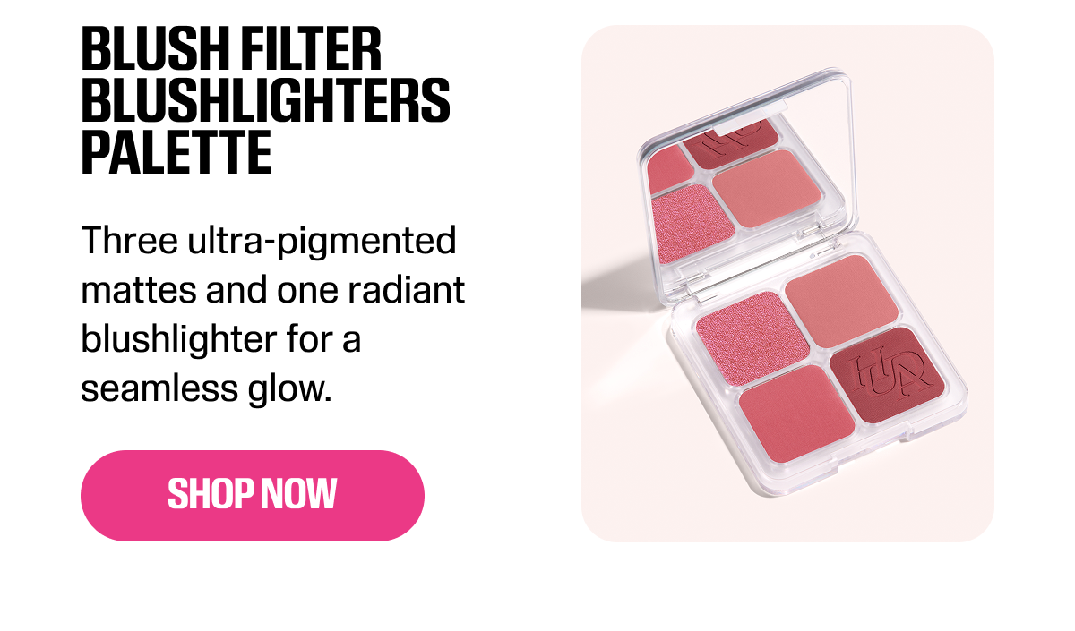 BLUSH FILTER BLURRING BLUSHLIGHTERS PALETTE