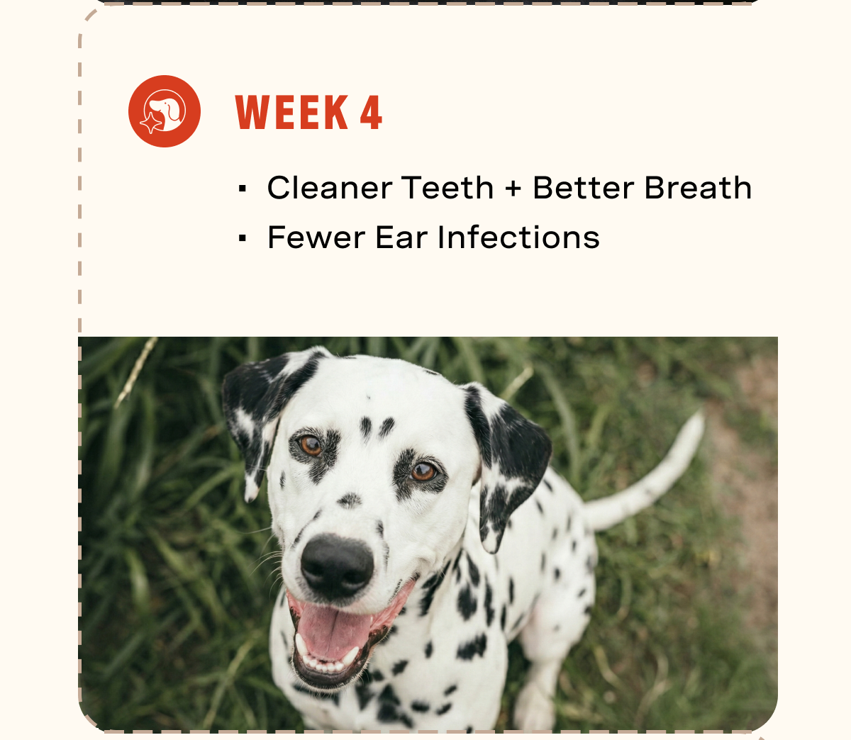 Week 4: Cleaner teeth, better breath, fewer ear infections