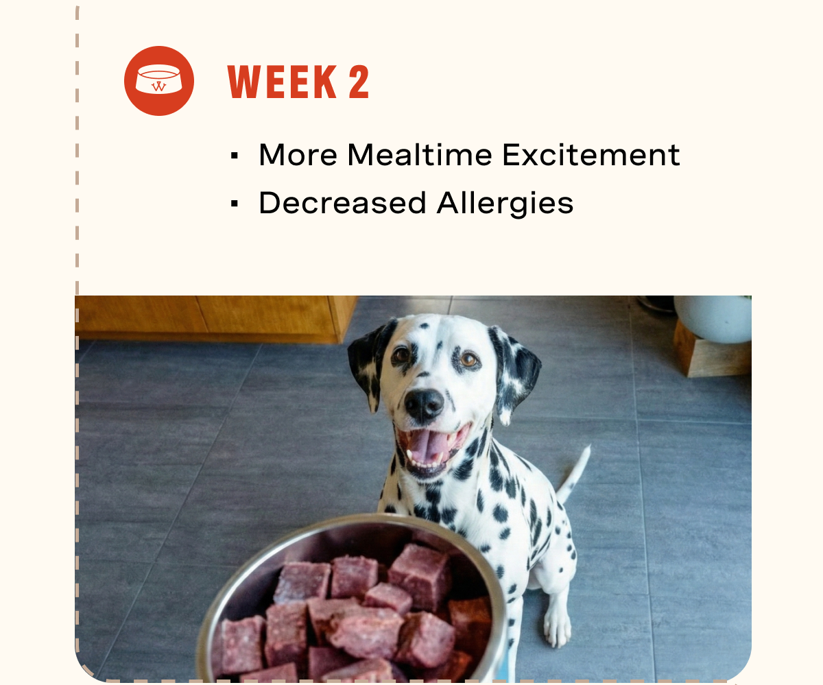 Week 2: more mealtime excitement, decreased allergies