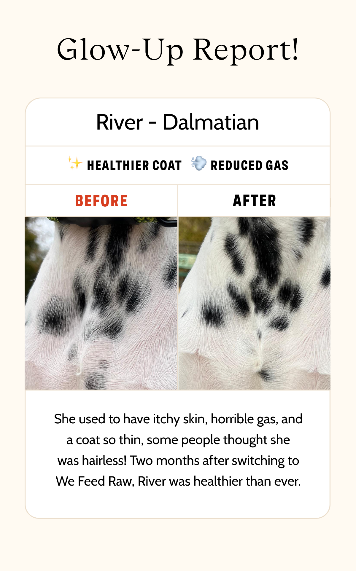 River- Dalmatian, Before and After