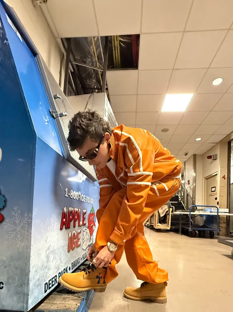 Timothée Chalamet New York Knicks