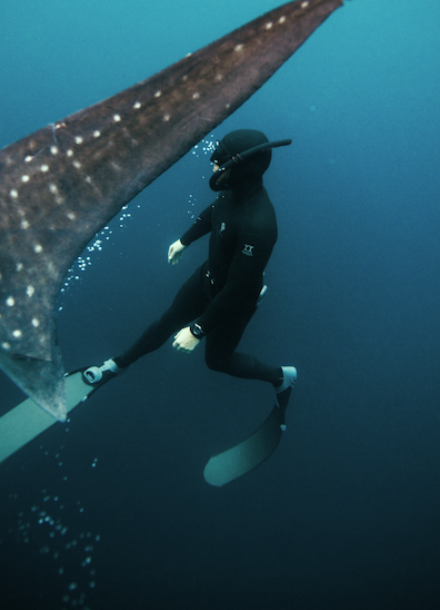 Diving Image