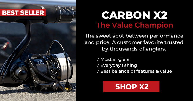 CARBON X2-BEST SELLER: The Value Champion