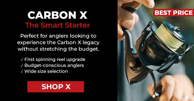 CARBON X-BEST PRICE: The Smart Starter