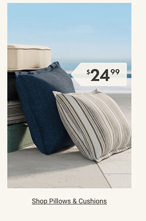 Shop Pillows & Cushions >