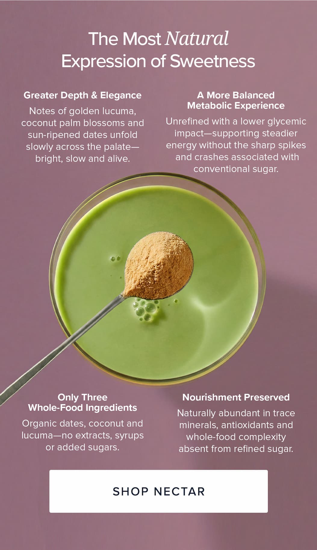 Nectar | Golden Fruit Sweetener