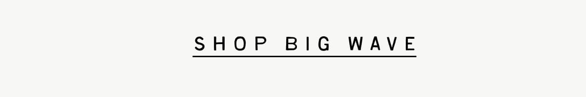 Big Wave 
