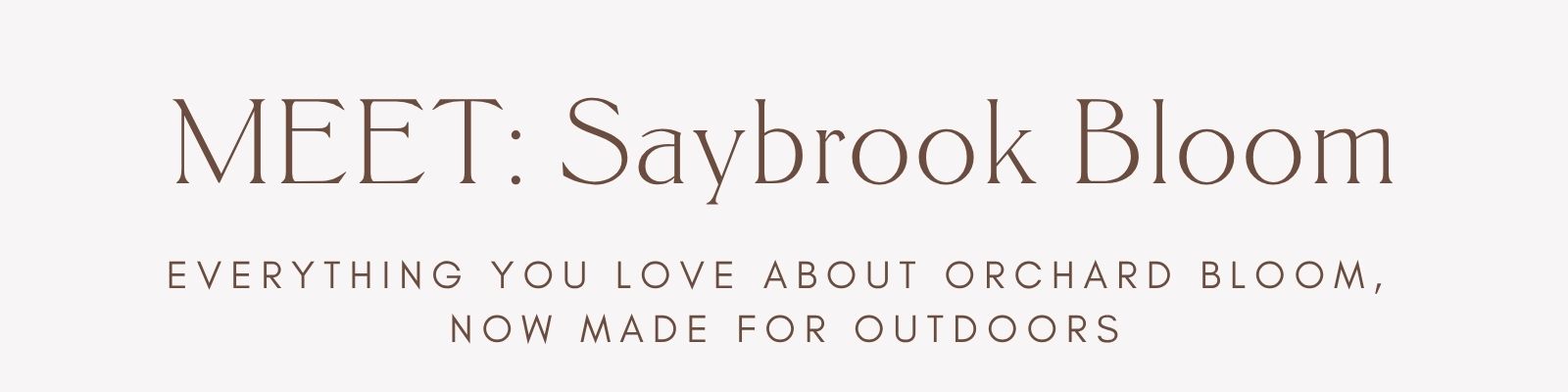 Meet: Saybrook Bloom