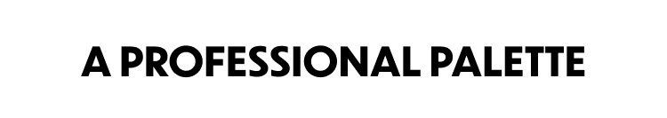 A Professional Palette