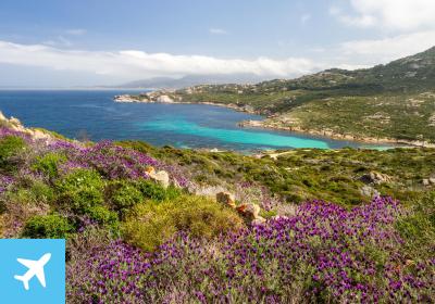 Korsika - Calvi
