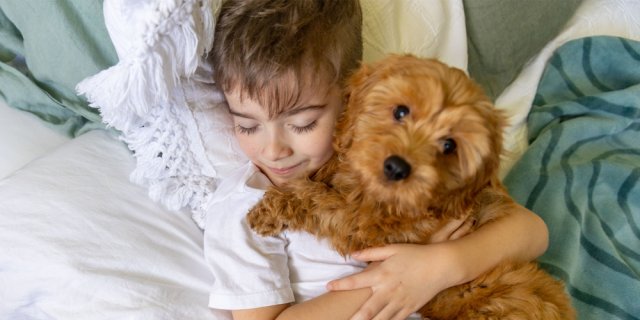 enfant et chien