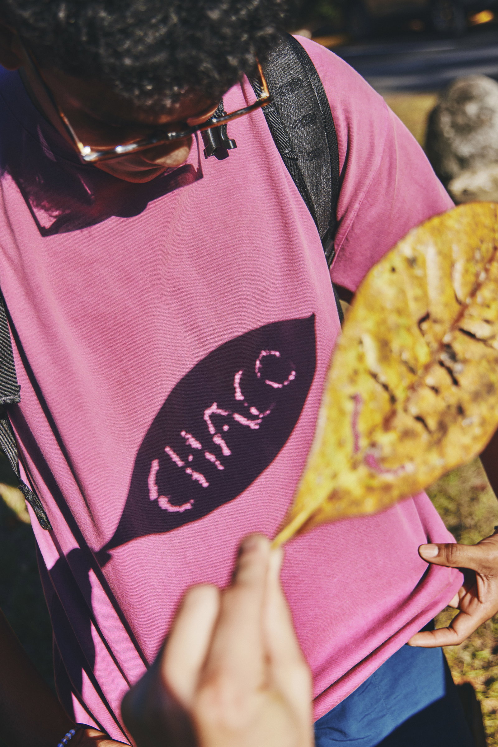 Chaco survey