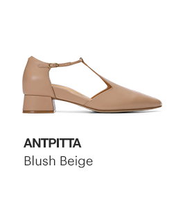Antpitta, Blush Beige