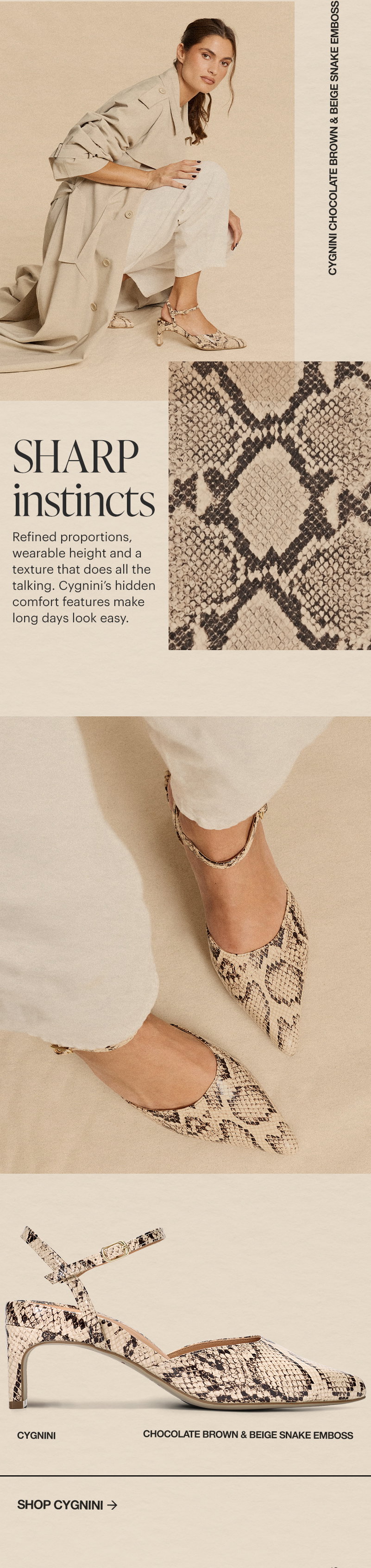 Cygnini, Chocolate Brown & Beige Snake Emboss