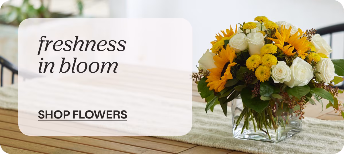 freshness in bloom - SHOP FLOWERS »