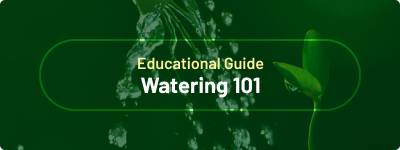 Educational Guide - Watering 101