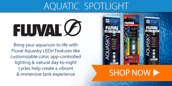 NEW Fluval Aquasky LED for your tank | Shop now! 