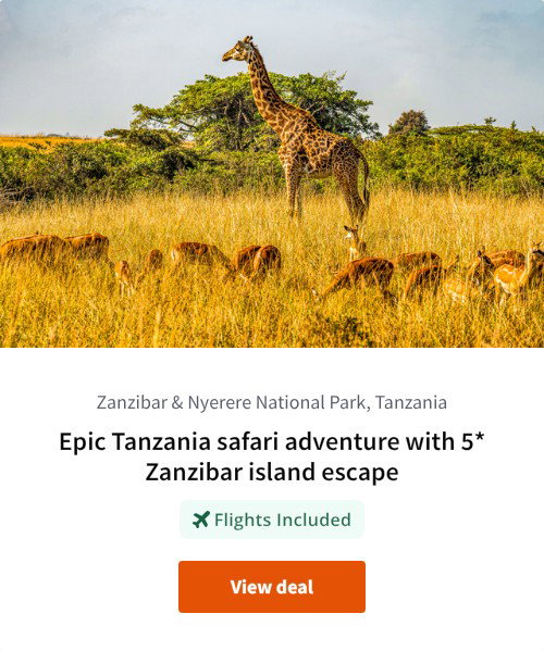 Epic Tanzania safari adventure with 5* Zanzibar island escape