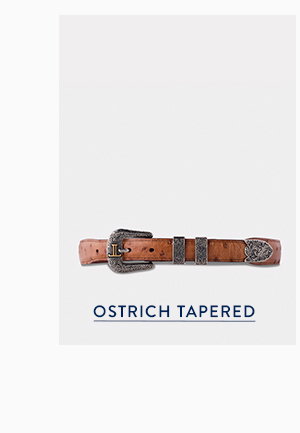 Ostrich Tapered Belt